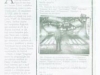 Tribuna de Minas- Caderno 2 (29-10-2008-pag4)